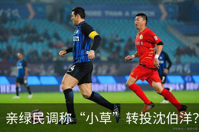 亲绿民调称“小草”转投沈伯洋？黄国昌:曹兴诚出资的没必要分析